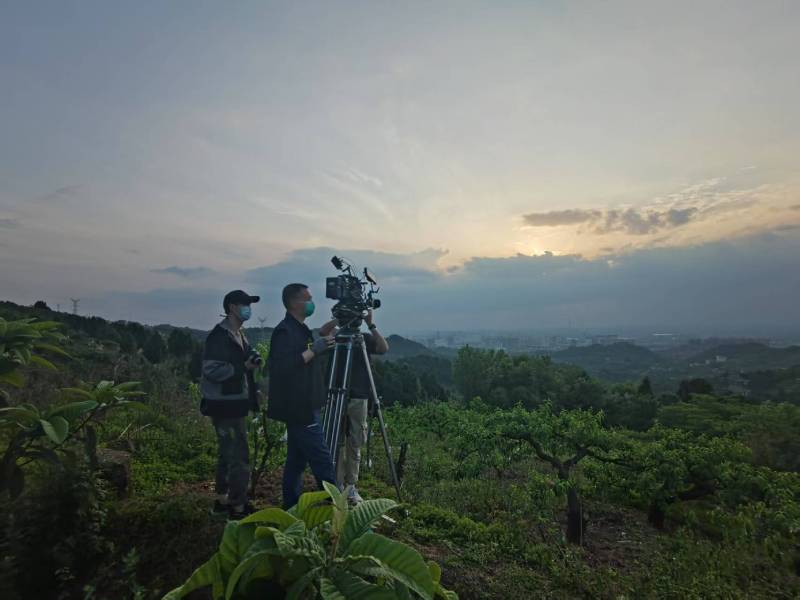 创意破圈！龙岩电商产品宣传视频用故事化叙事引爆流量