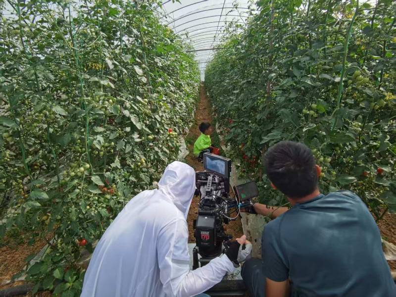 龙岩产品宣传视频拍摄公司进阶指南，助力品牌抢占传播高地